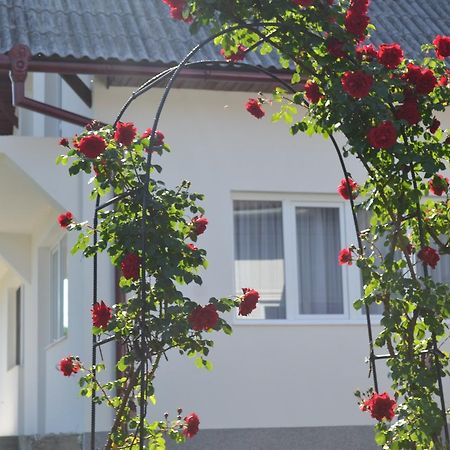 Casa Maria ξενώνας Prundul Birgaului Εξωτερικό φωτογραφία
